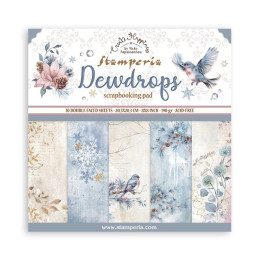 copy of 